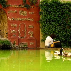 2006 - Ducks and man - Sevilla, Spain