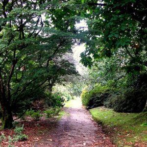 2006 - The path - Lanhydrock, England