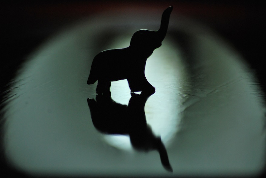 Elephant silhouette – Silhouette