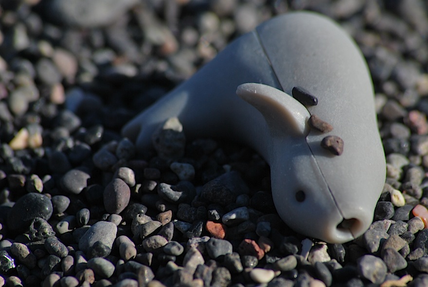 2011 - Plastic Seal - Perissa, Greece