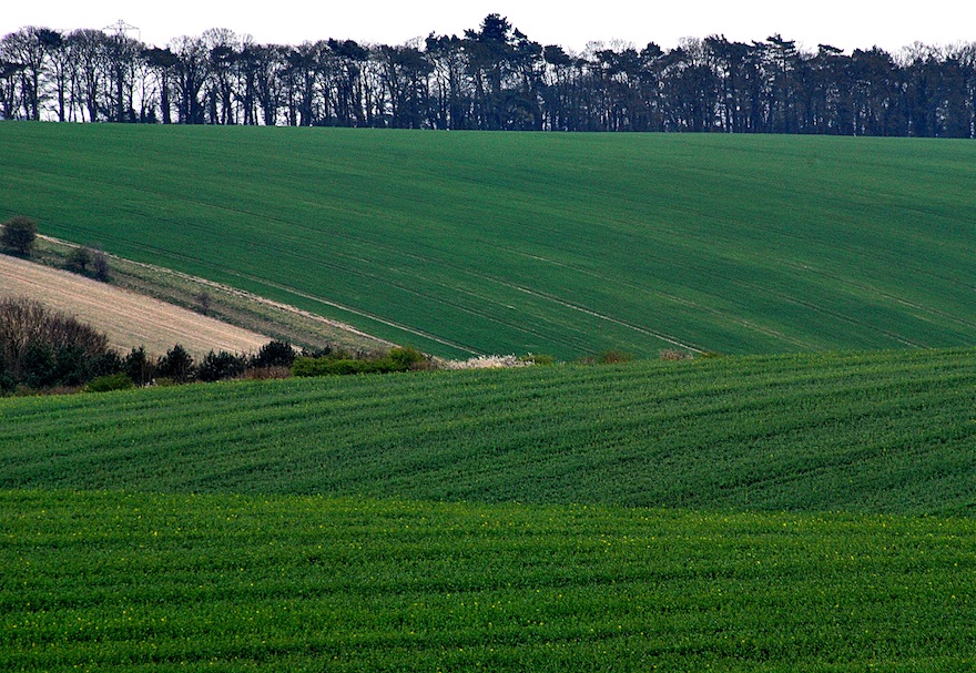 2012 - Green scale countryside - Amesbury, England