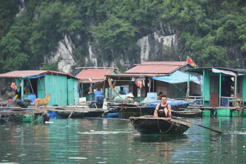 2014 - Vietnam...a look back - 08, Vietnam (Original 5353x3569)