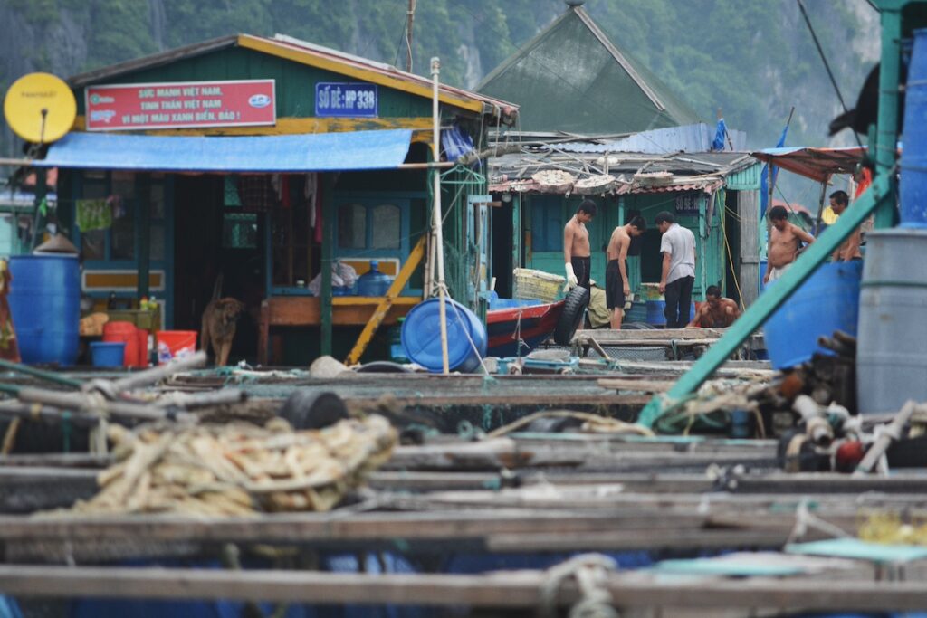 2014 - Vietnam...a look back - 12, Vietnam (Original 5563x3709)